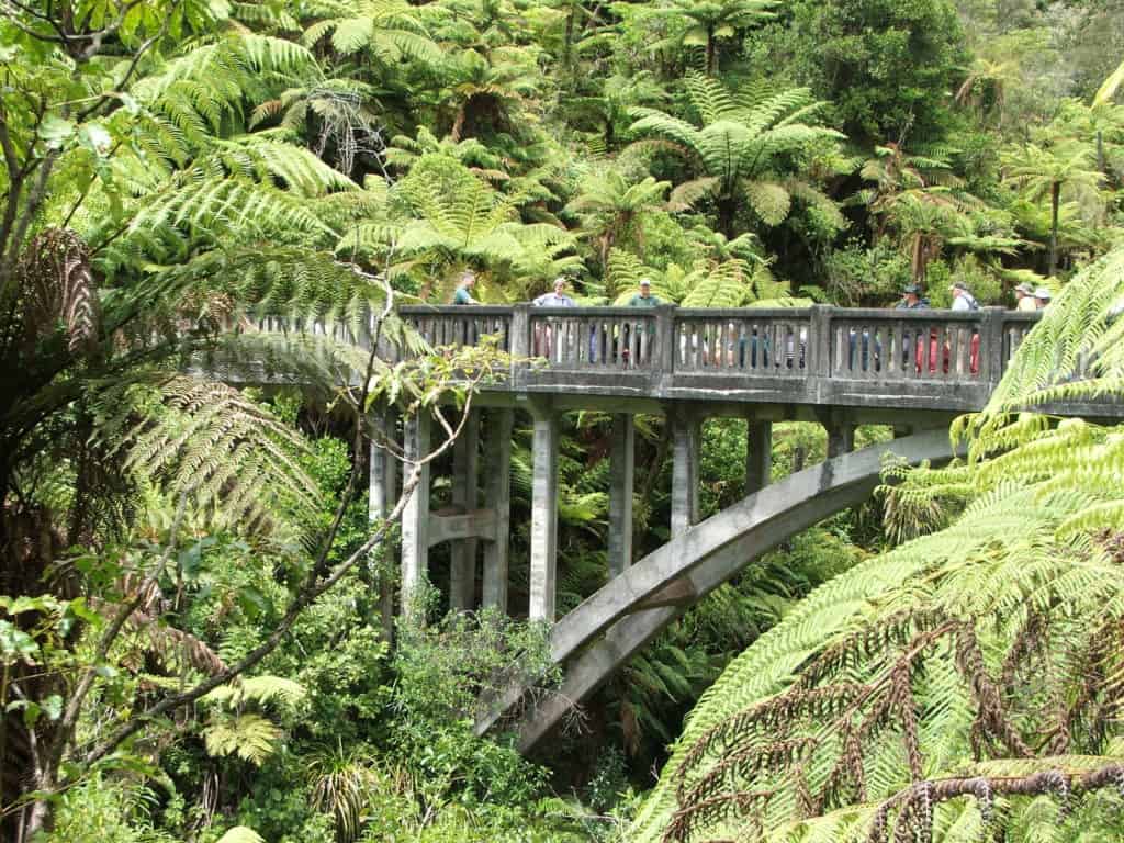 Bridge to Nowhere - Whanganui New Zealand